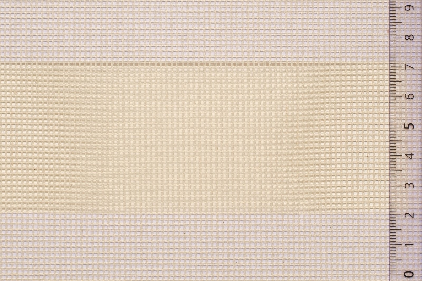 01CAN54IVOxxxCOT[CANVAS 54 No8](IVORY)F